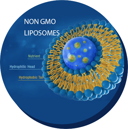 Non GMO Lipsosomes