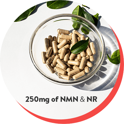 NMN & NR