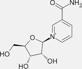 Genuine Purity NR